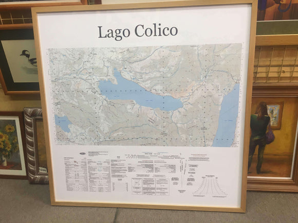 Biblioteca Lago Colico